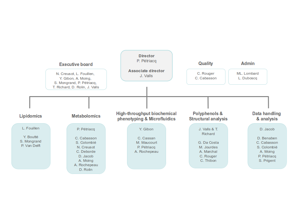 Organigramme Decembre 2022