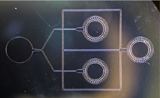 a microfluidics chip